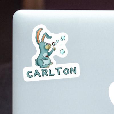 Sticker Rabbit Carlton Gift package Image