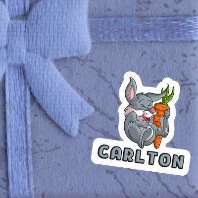 Autocollant Carlton Lapin de Pâques Notebook Image