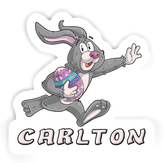 Carlton Sticker Rugby rabbit Gift package Image