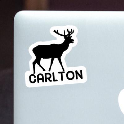 Sticker Hirsch Carlton Image