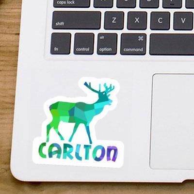 Hirsch Sticker Carlton Gift package Image