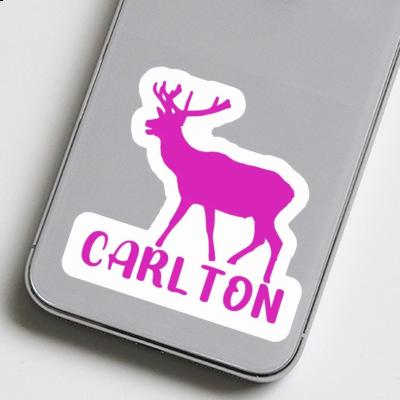 Sticker Hirsch Carlton Gift package Image