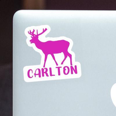 Sticker Deer Carlton Notebook Image