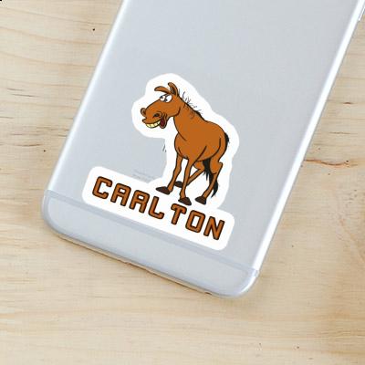 Horse Sticker Carlton Laptop Image