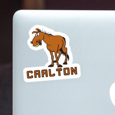 Horse Sticker Carlton Gift package Image