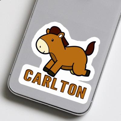 Sticker Carlton Horse Gift package Image