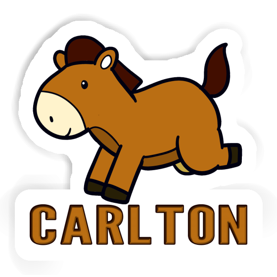 Sticker Carlton Horse Gift package Image