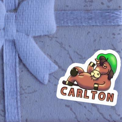 Sticker Pferd Carlton Image