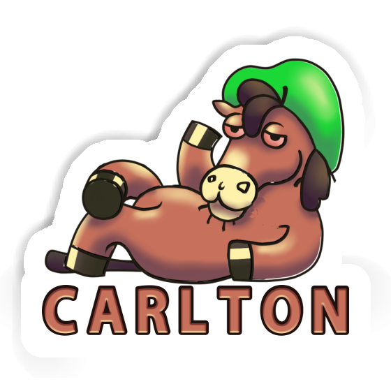 Horse Sticker Carlton Image