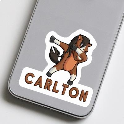 Aufkleber Carlton Pferd Laptop Image