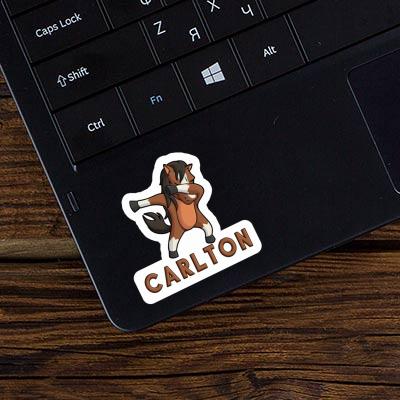 Dabbing Horse Sticker Carlton Gift package Image