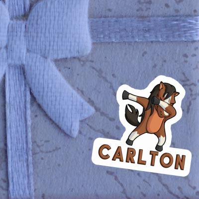 Dabbing Horse Sticker Carlton Notebook Image