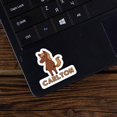 Sticker Carlton Horse Notebook Image