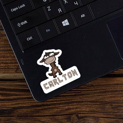 Carlton Sticker Ross Laptop Image