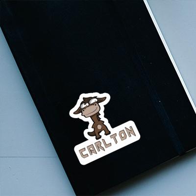 Carlton Sticker Ross Notebook Image