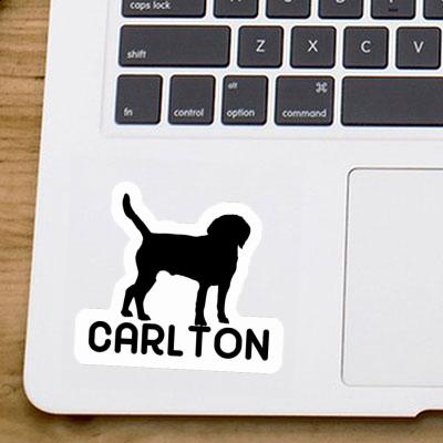 Dog Sticker Carlton Gift package Image