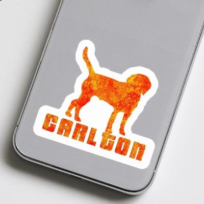 Carlton Sticker Hound Gift package Image