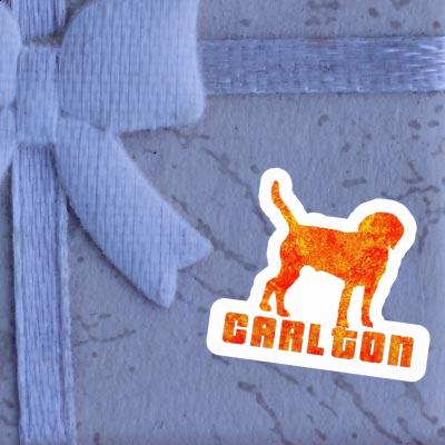 Carlton Sticker Hound Image