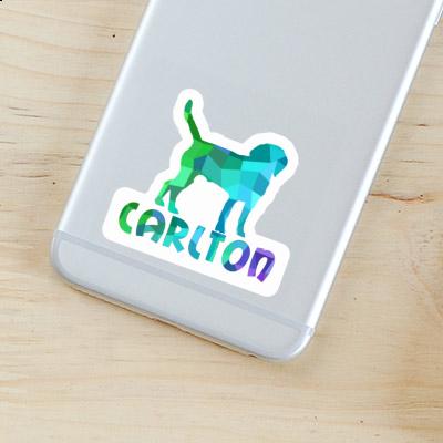 Chien Autocollant Carlton Gift package Image