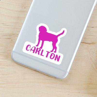 Dog Sticker Carlton Laptop Image