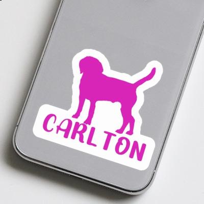 Aufkleber Hund Carlton Laptop Image