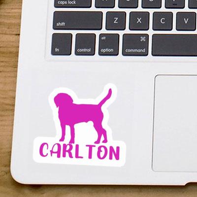 Aufkleber Hund Carlton Gift package Image