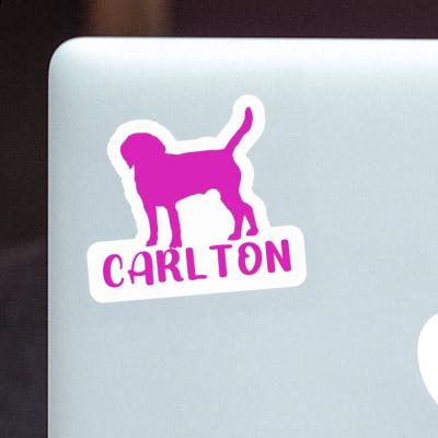 Dog Sticker Carlton Laptop Image