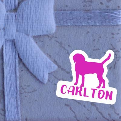 Chien Autocollant Carlton Gift package Image