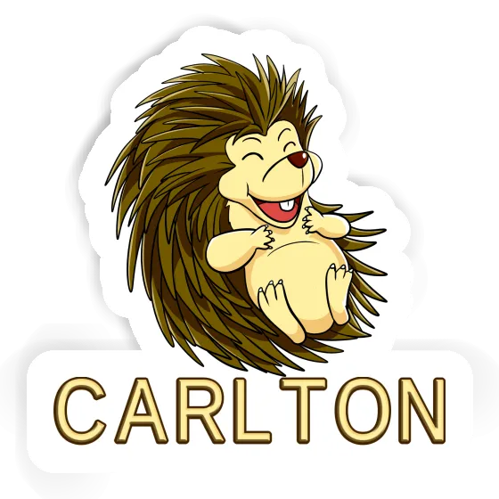 Carlton Sticker Hedgehog Laptop Image