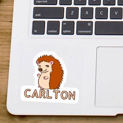 Hedgehog Sticker Carlton Image