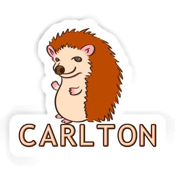 Hedgehog Sticker Carlton Gift package Image