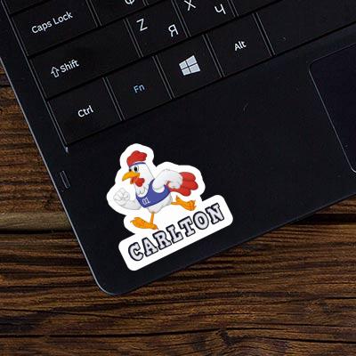 Sticker Chicken Carlton Image