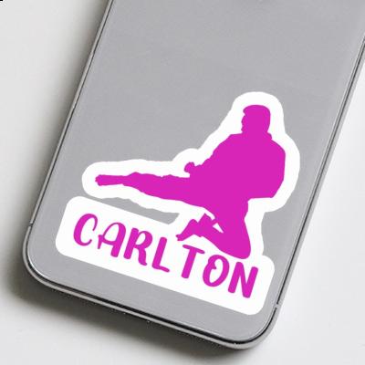 Karateka Sticker Carlton Laptop Image