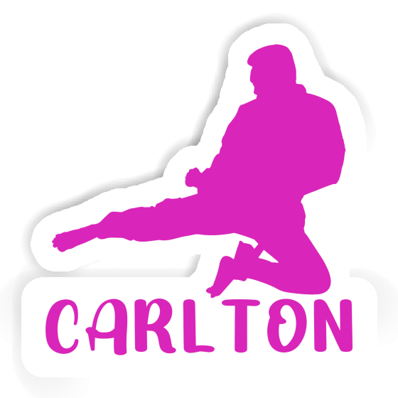 Karateka Sticker Carlton Gift package Image