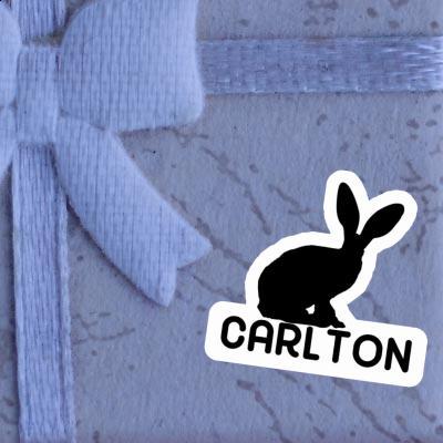 Sticker Carlton Rabbit Notebook Image