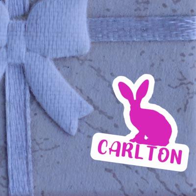 Sticker Carlton Rabbit Image