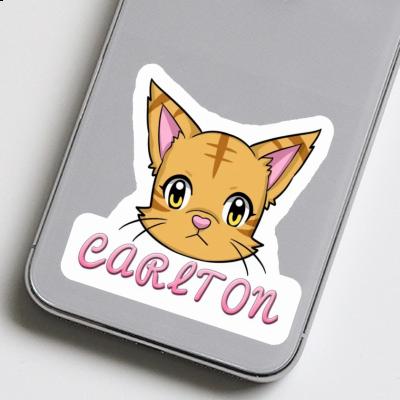 Sticker Cat Carlton Notebook Image