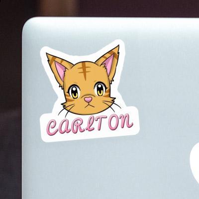 Sticker Cat Carlton Image