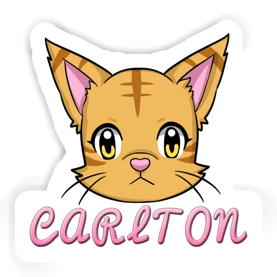 Sticker Cat Carlton Gift package Image