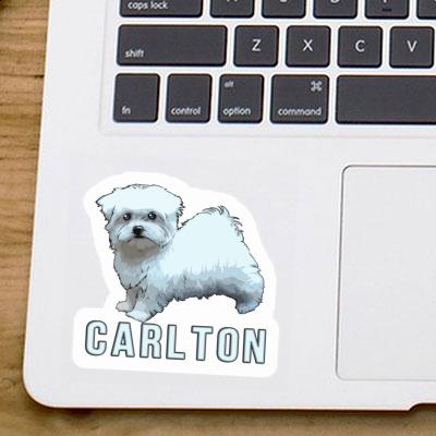 Carlton Sticker Doggie Laptop Image