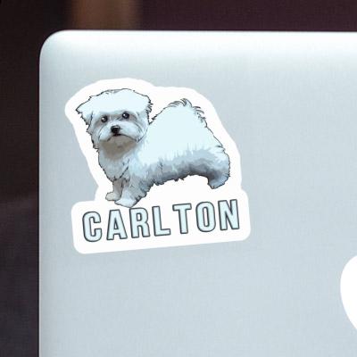 Carlton Sticker Doggie Gift package Image