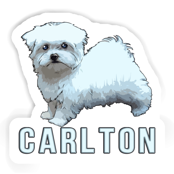 Carlton Sticker Doggie Notebook Image