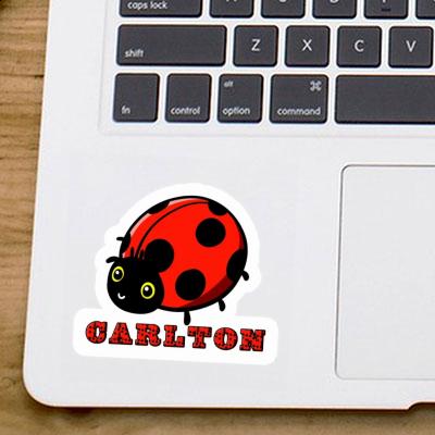 Carlton Autocollant Coccinelle Laptop Image