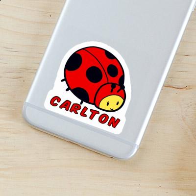 Carlton Sticker Ladybug Gift package Image