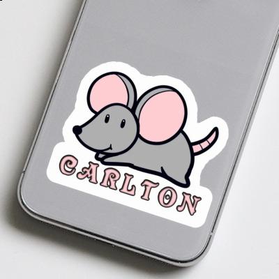 Autocollant Carlton Souris Gift package Image