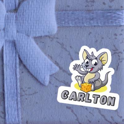 Sticker Mouse Carlton Notebook Image