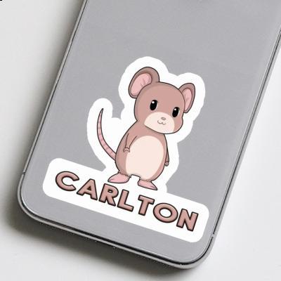 Autocollant Carlton Souris Laptop Image