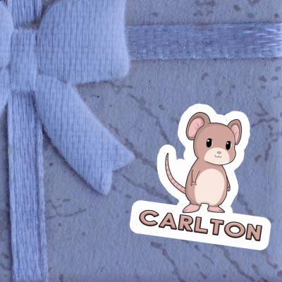 Autocollant Carlton Souris Gift package Image