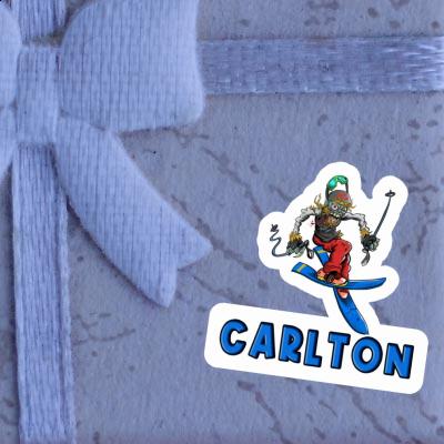 Freerider Sticker Carlton Image