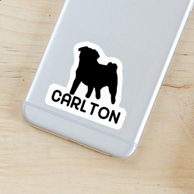 Carlton Sticker Pug Image